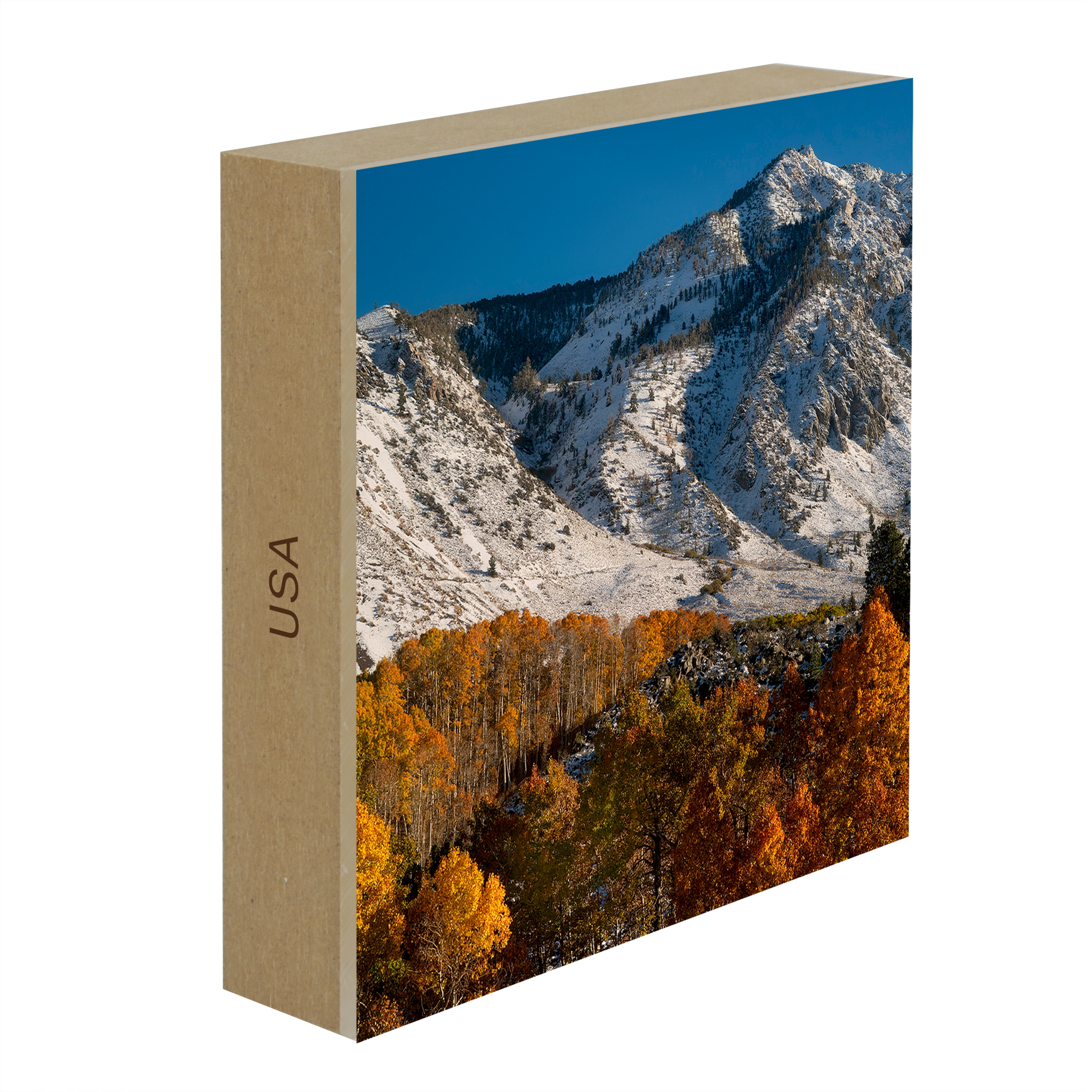 Early Fall Snow- Collection: USA