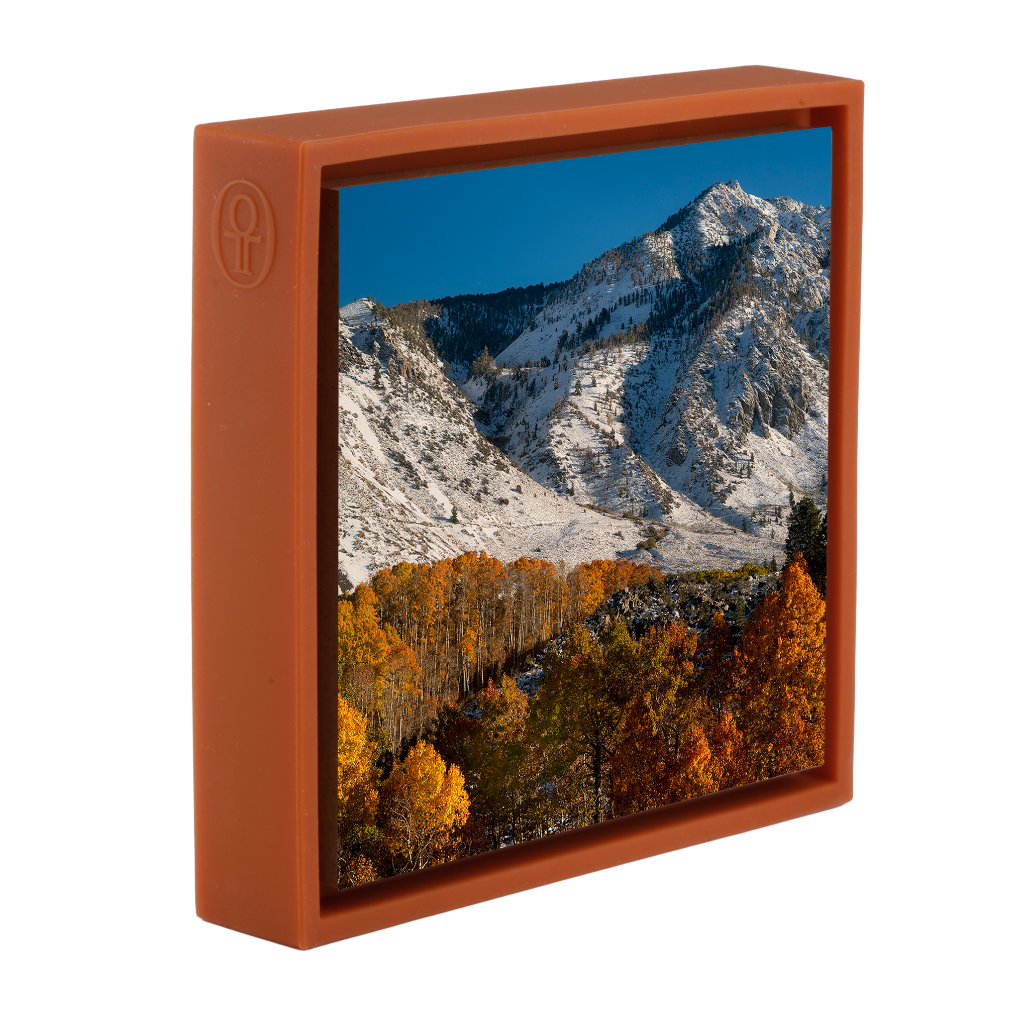 Early Fall Snow - Oranje Wrapp