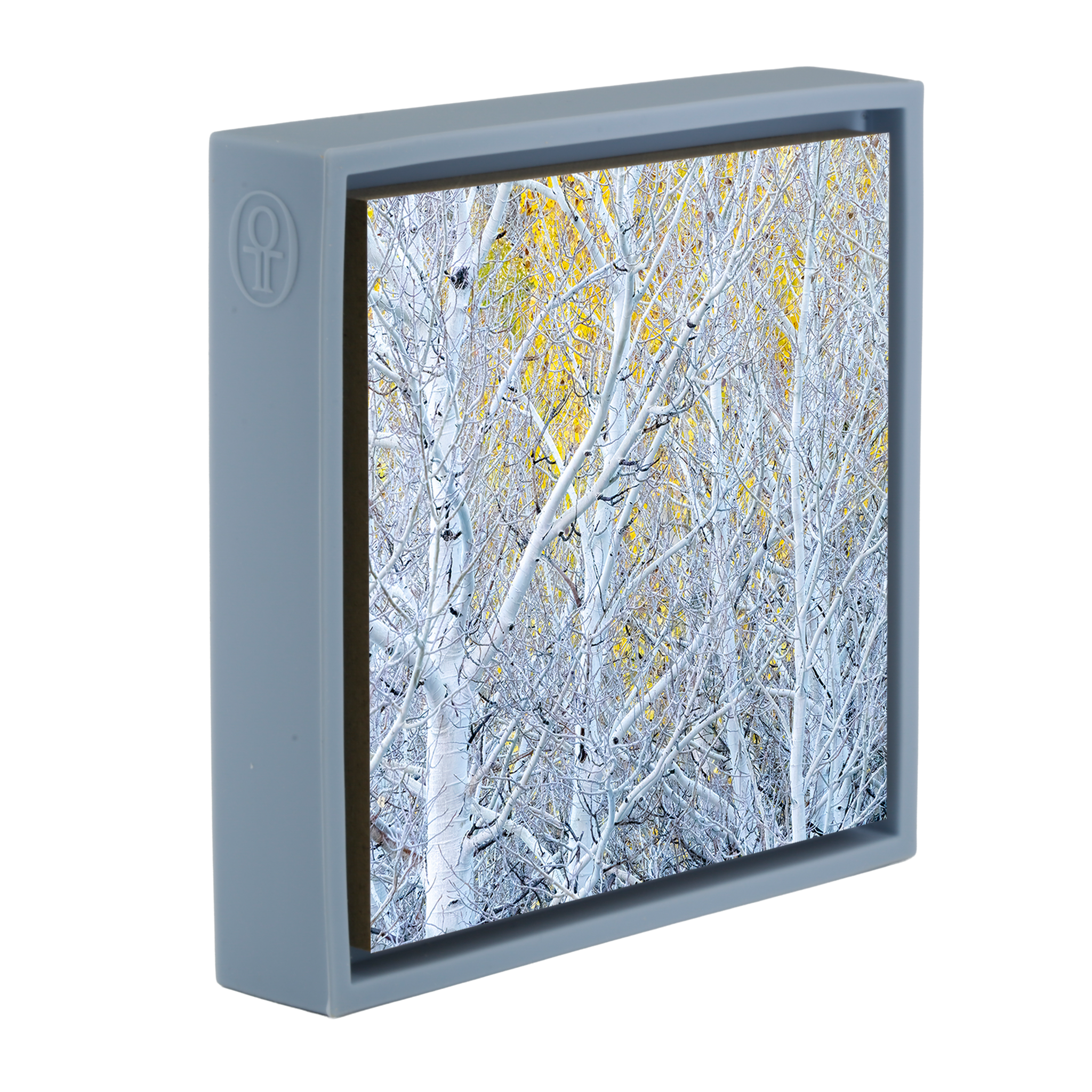 Ghost Aspens - Lichtblauwe Wrapp